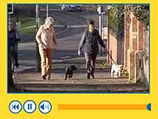 75th anniversary - guide dogs for the blind