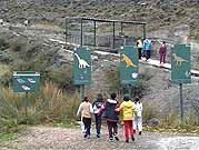 Primary Spanish: visiting the dinosaur trail